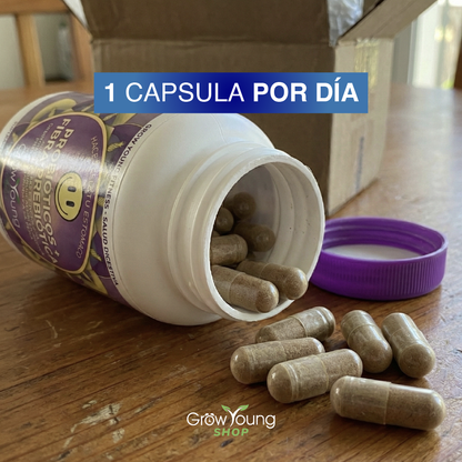 Suplemento Diario Grow Young: Probiótico + Prebiótico